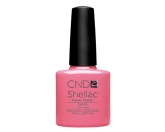 CND- Shellac Gotcha