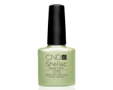 CND- Shellac Limeade