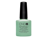 CND- Shellac Mint Convertible