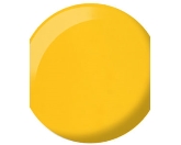 DND- 746 Butter Corn