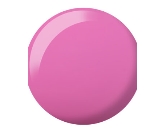 DND- 808 Dewey Daisy